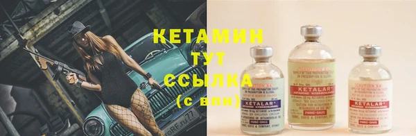 прущие крисы Киренск