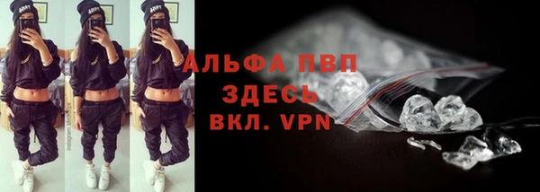прущие грибы Козловка