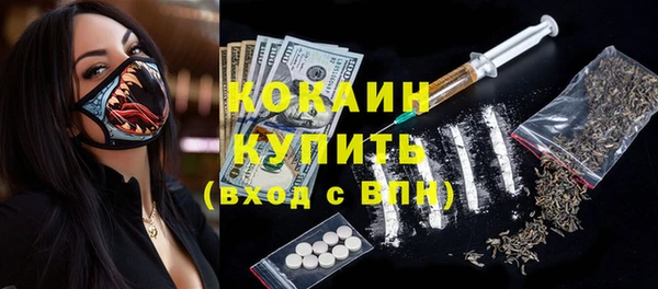 амф Корсаков