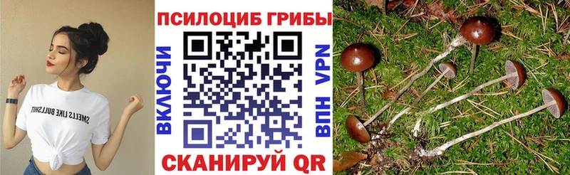 Псилоцибиновые грибы прущие грибы  цены   Кирсанов 