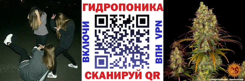 Бошки марихуана индика  Кирсанов 